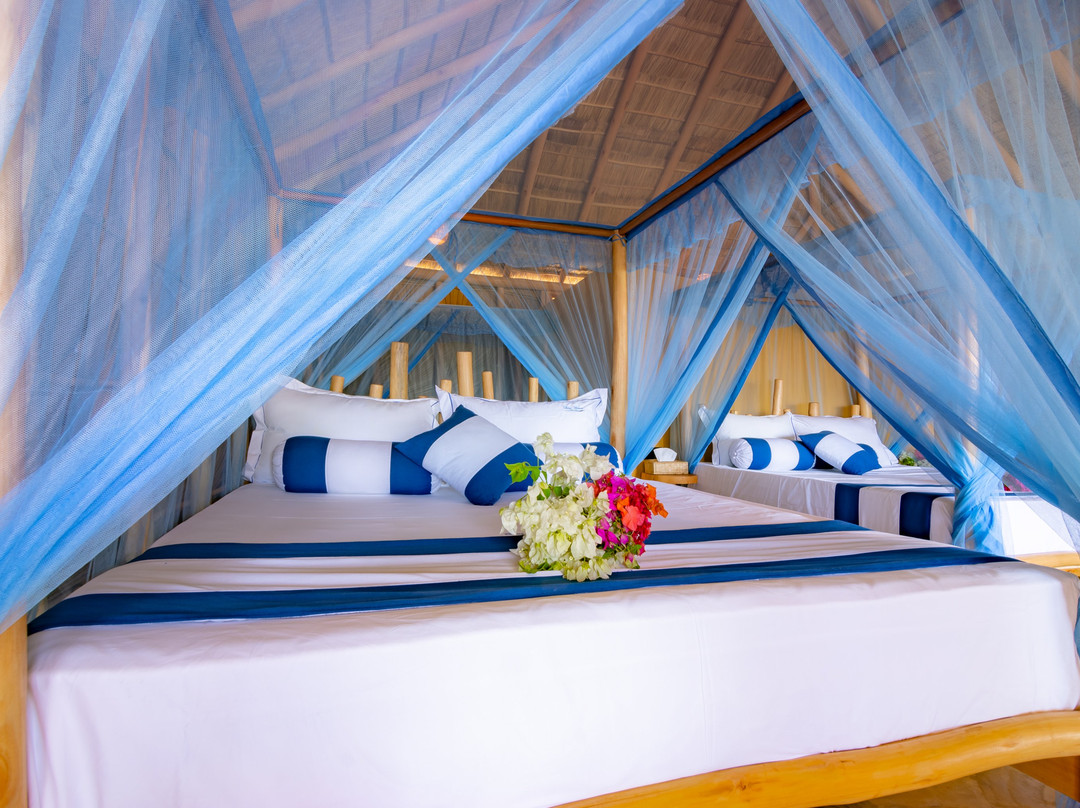 Blue Waters Arugambay主图