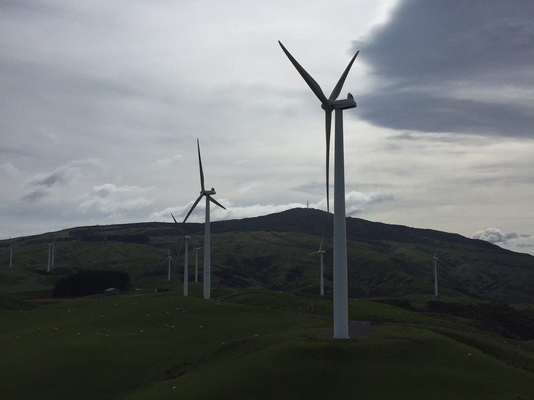 Te Apiti Wind Farm景点图片