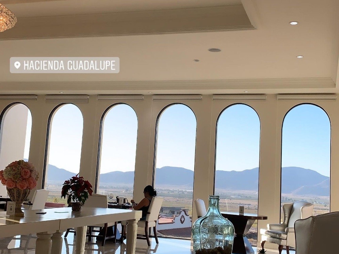 Vino Tinto Tours-Valle de Guadalupe必去景点