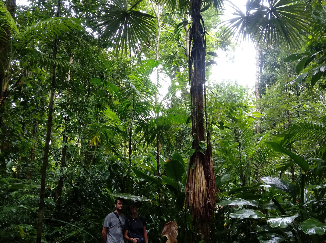 Sirena Ranger Station-Corcovado National Park必去景点