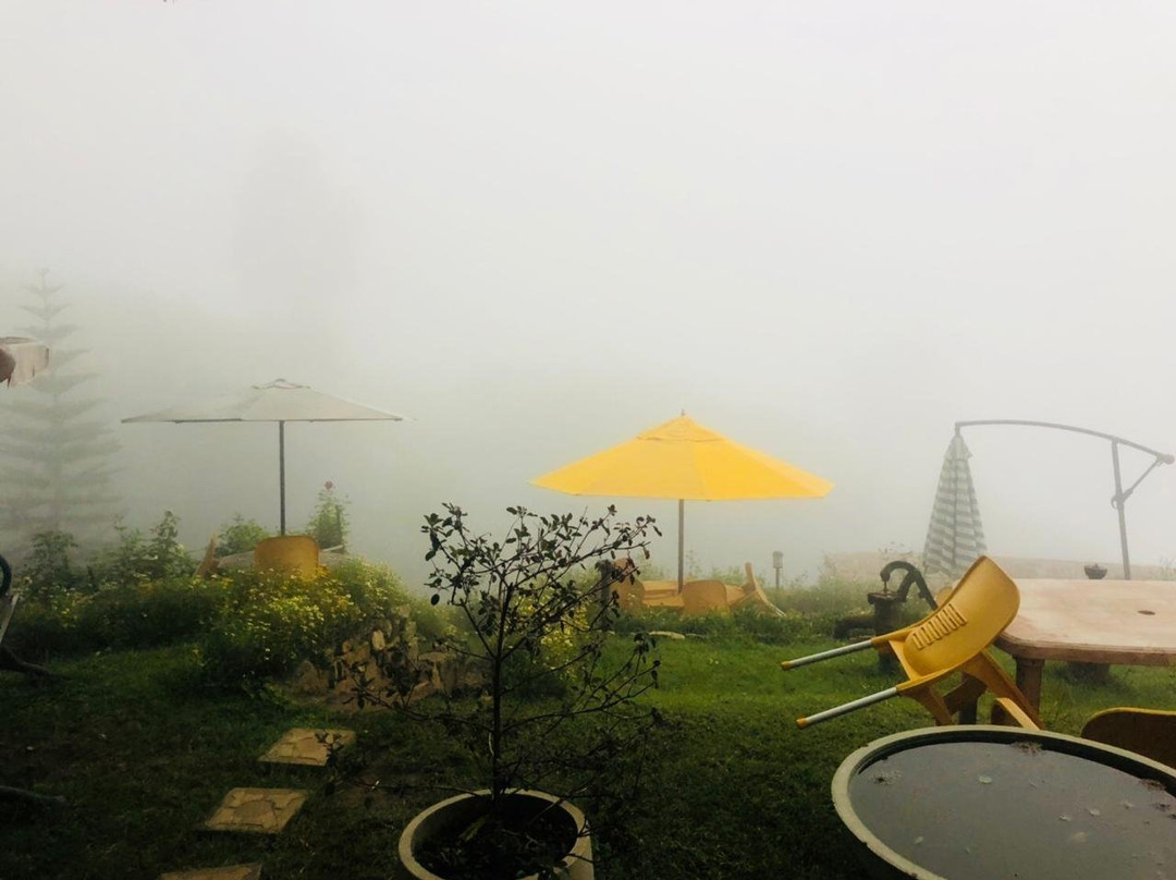 Morning Mist Guesthouse主图