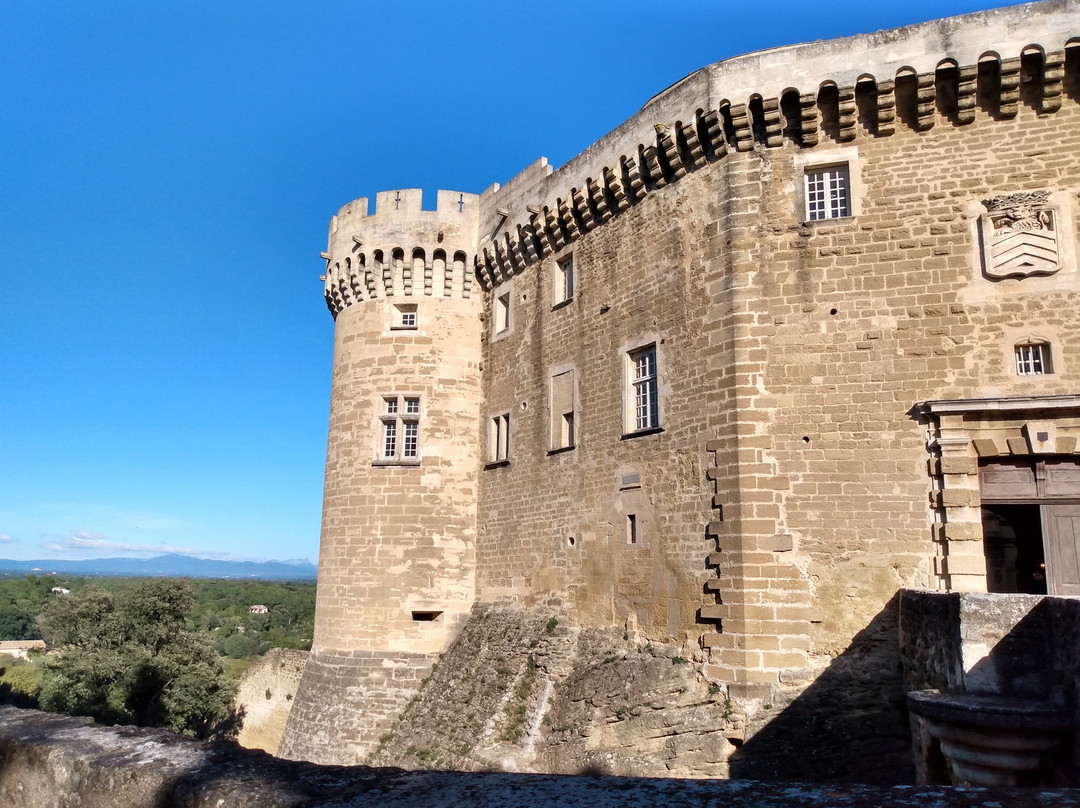 Chateau de Suze-la-Rousse景点图片