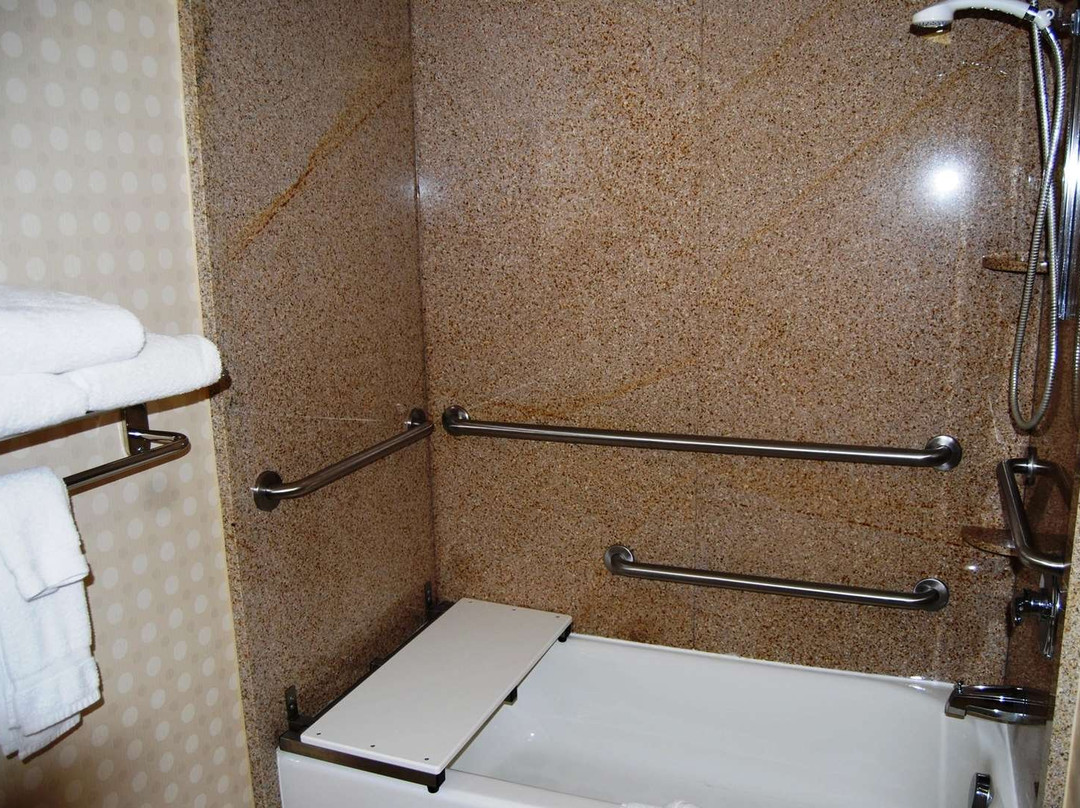 杰克逊维尔奥伦奇公园希尔顿花园旅馆主图