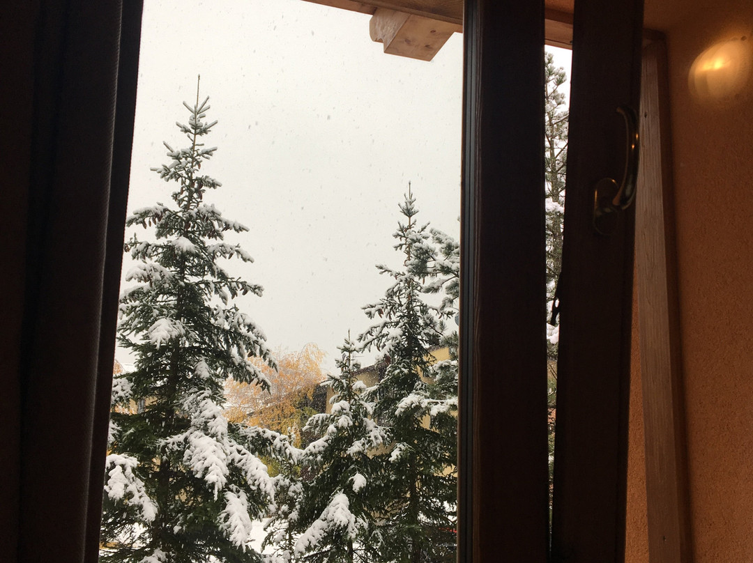 Chalet Alpina Hotel & Apartments主图