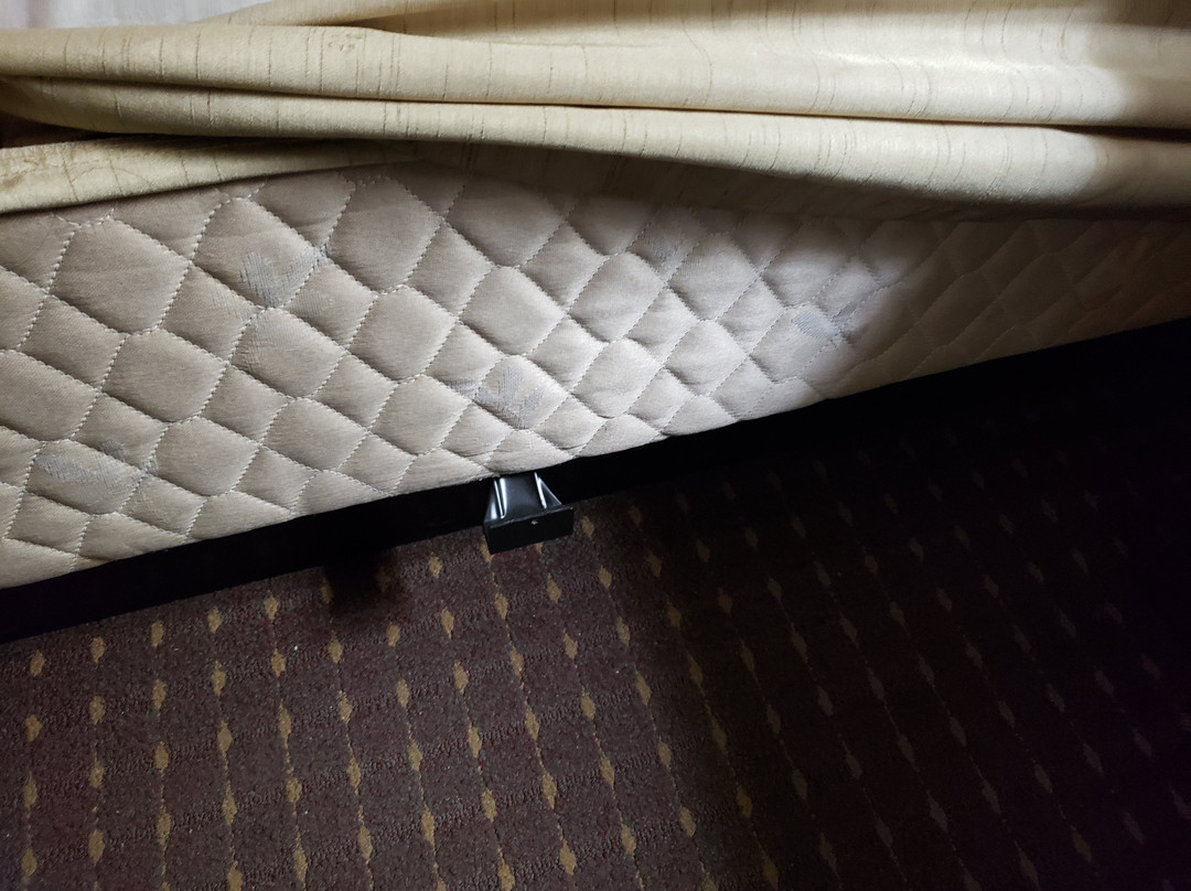 Quality Suites Paducah I-24主图