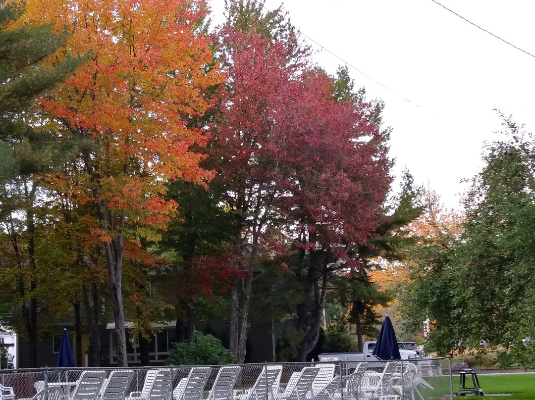 Elmwood Motor Court主图