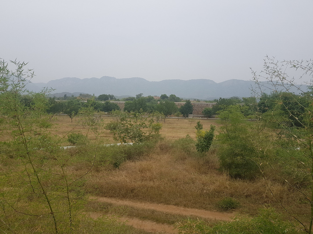 Utsav Camp Sariska主图