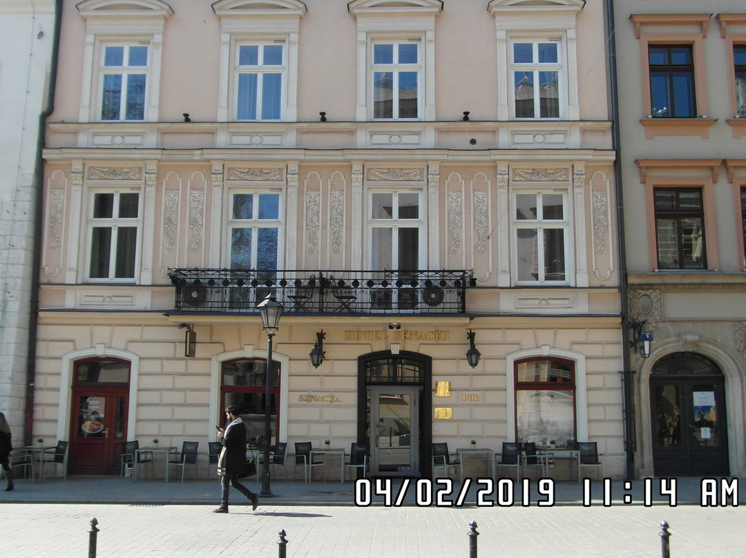 Senacki Hotel主图