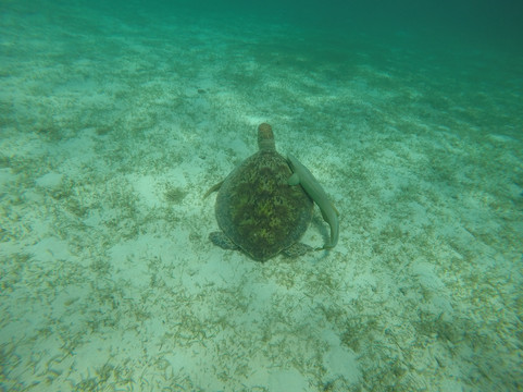 Aventure Marine-努美阿必去景点