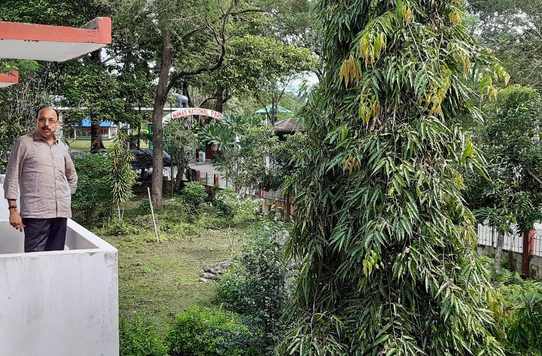 Bansbari Lodge主图