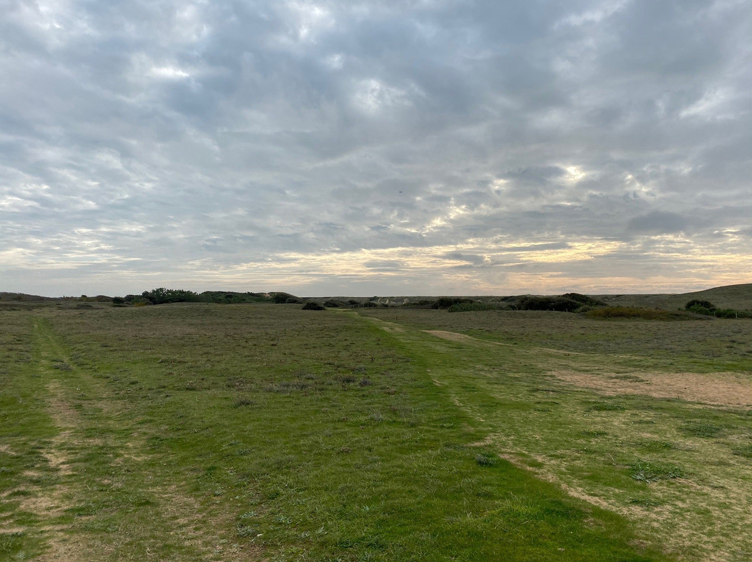 Dunes de la Gachere景点图片