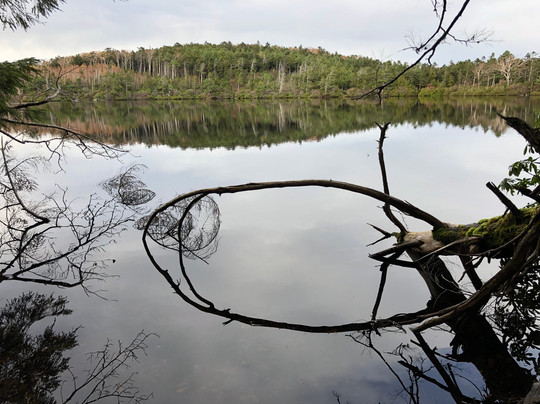 Pond Shirakoma-佐久穗町必去景点