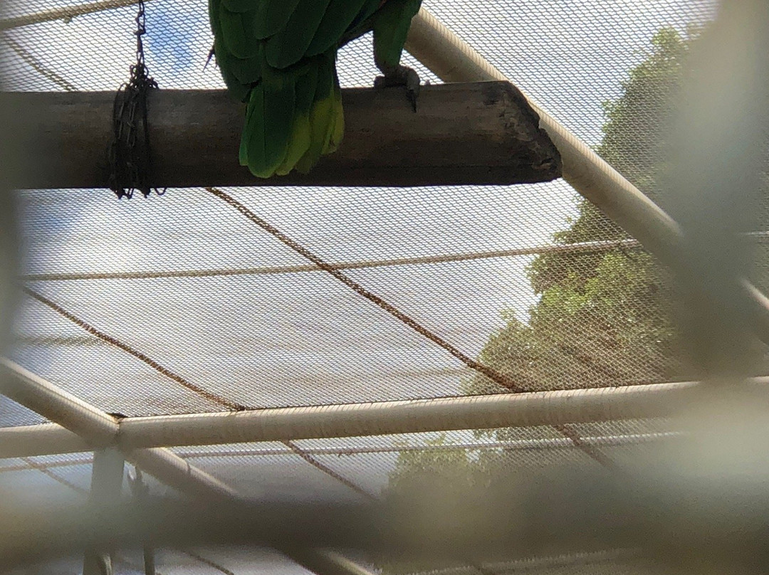 Zoologico do Batalhao do Forte Sao Joaquim-Boa Vista必去景点