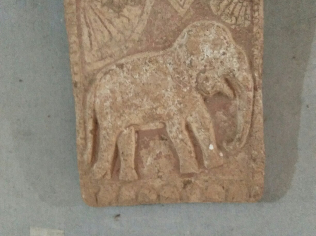 Dambadeniya Ancient Kingdom Museum景点图片