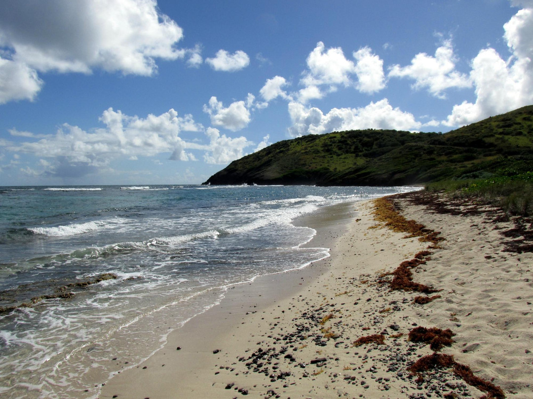 Split Cove-圣克鲁斯必去景点