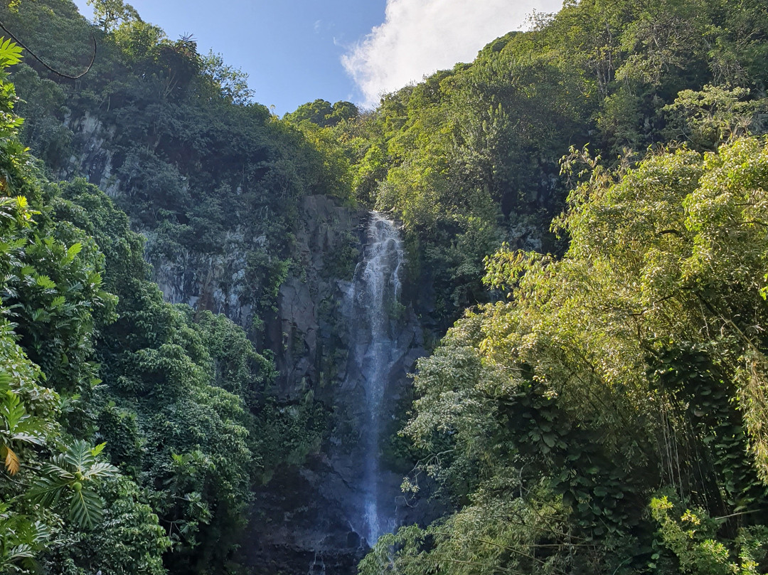 Wailua Falls景点图片