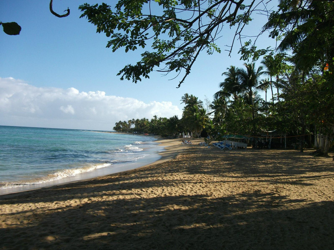 Playa Punta Popy景点图片