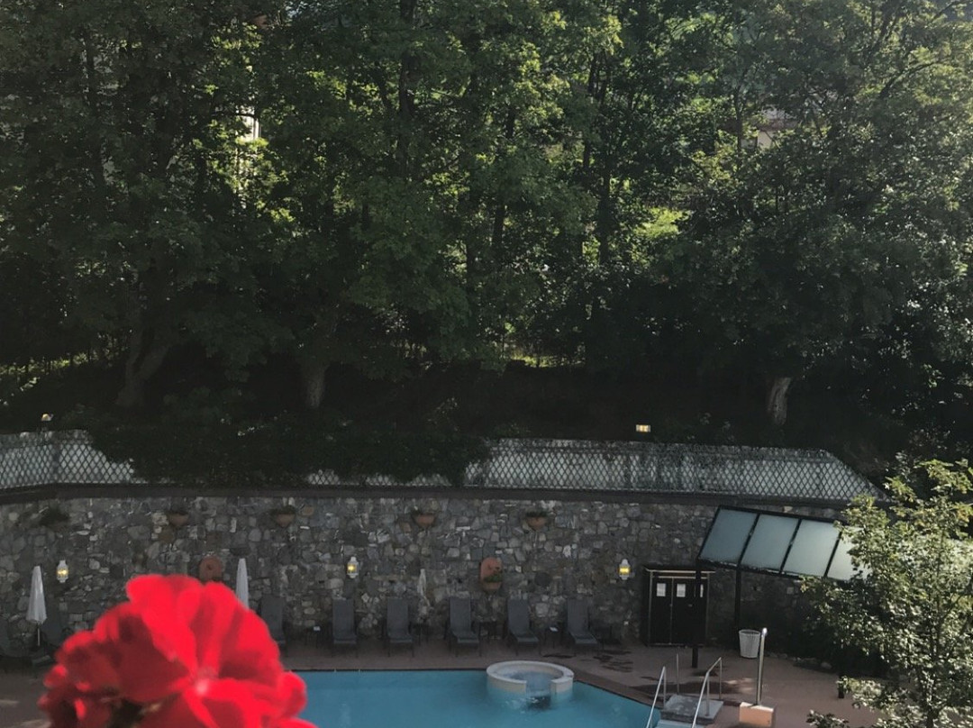 德索尔斯阿尔卑斯酒店主图