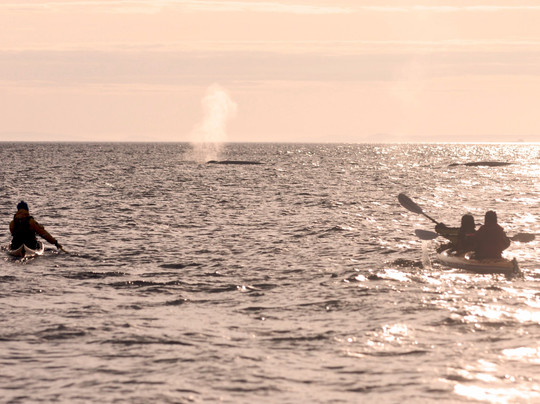 Mer et Monde Ecotours