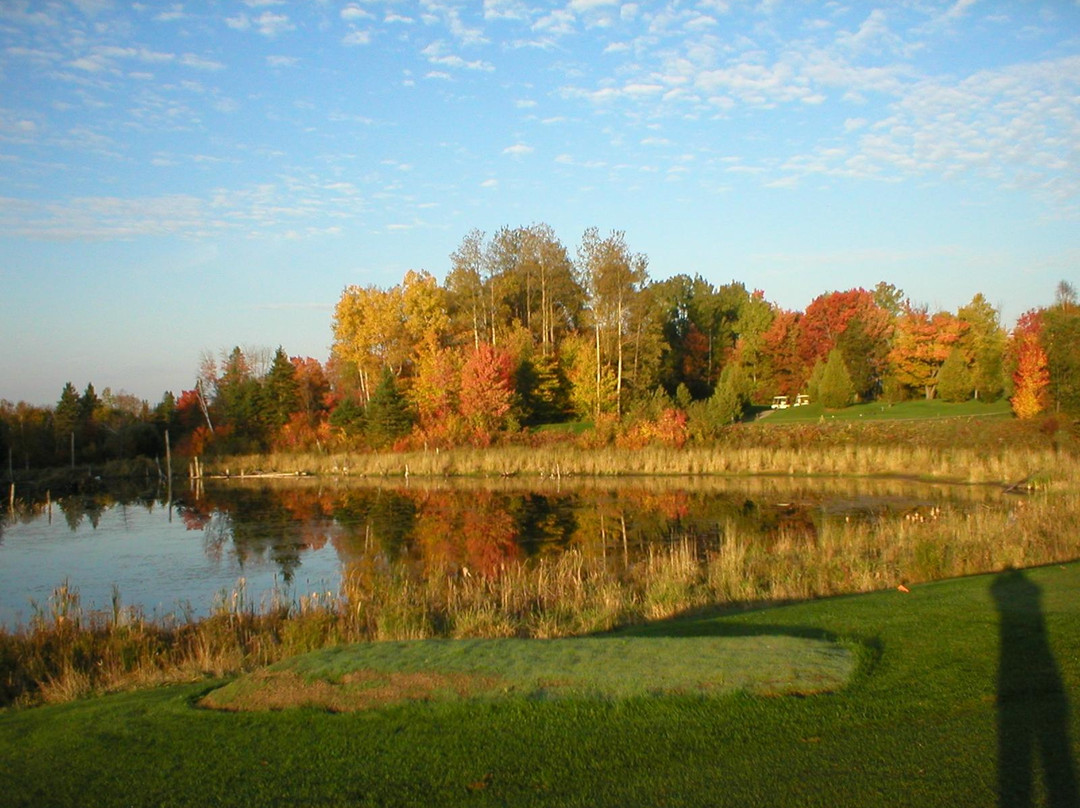 Oaks of Cobden Golf Club景点图片