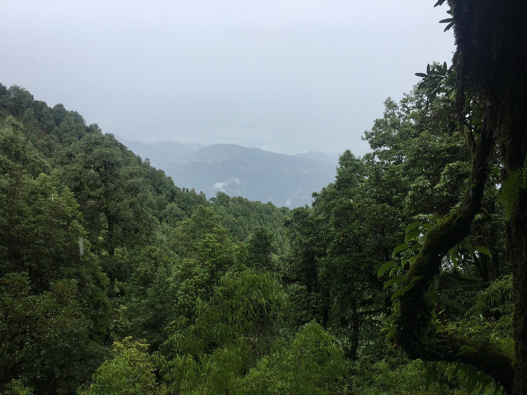 Zero Point景点图片