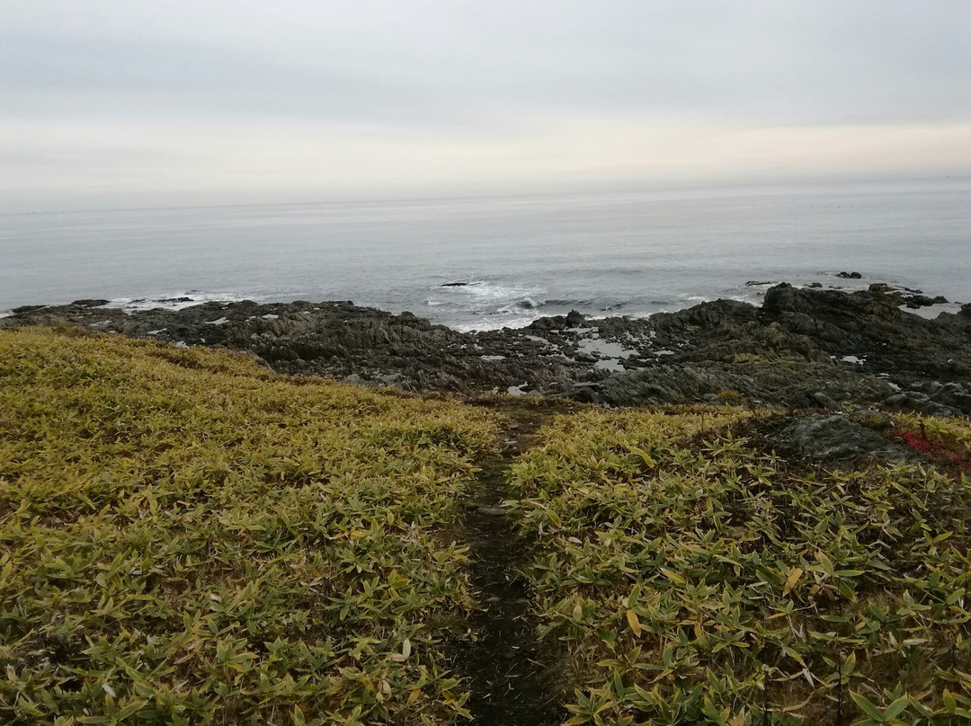 Hinode Cape-雄武町必去景点