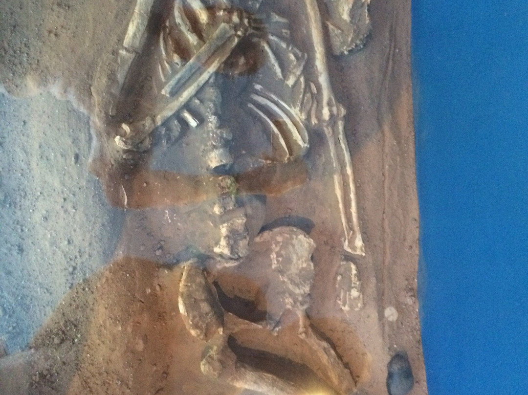 Museu de Arqueologia de Xingó-Caninde de Sao Francisco必去景点