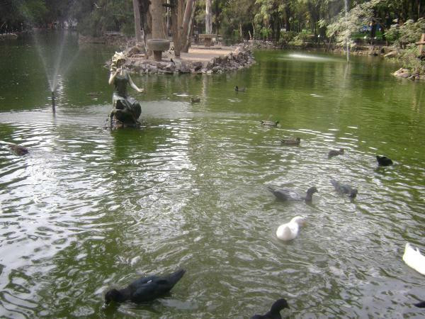 Parque Zoológico de León景点图片