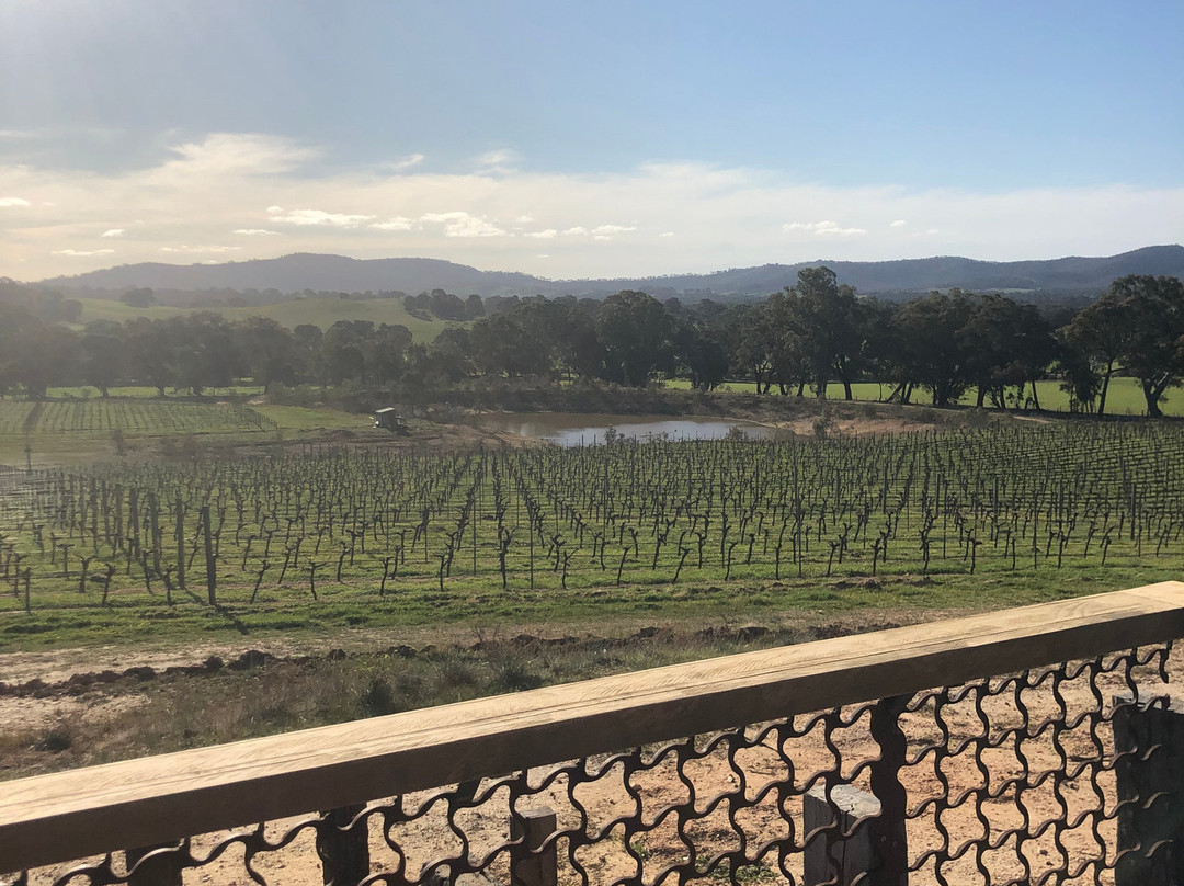 Bigibila Wines-Moonambel必去景点