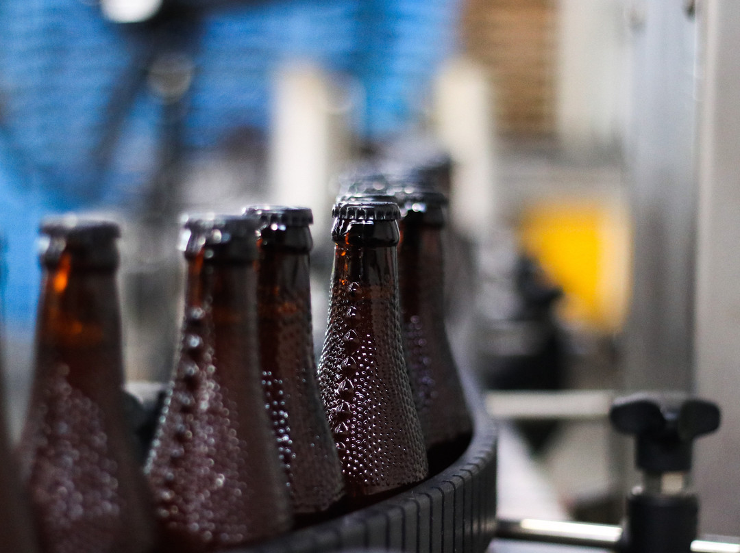 Tuatara Brewery-帕拉帕拉乌姆必去景点