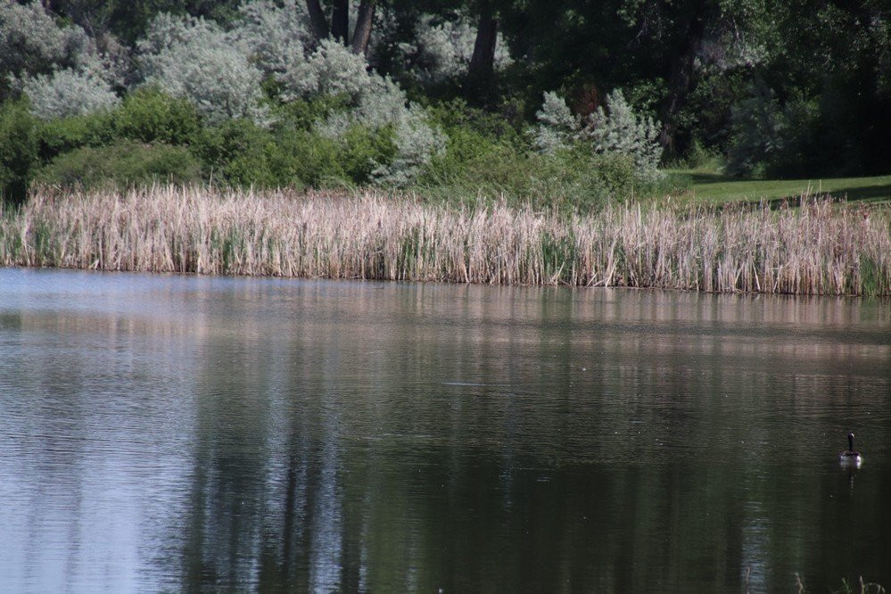 Riverfront Park-比灵斯必去景点