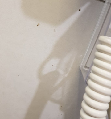 梅里顿酒店主图