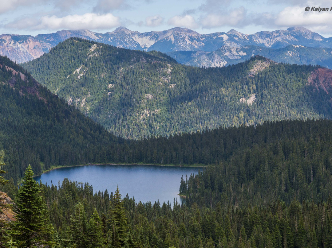 Tipsoo Lake Loop景点图片