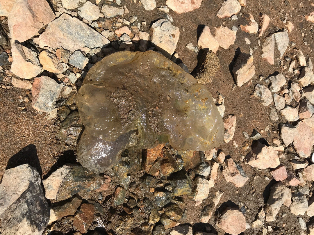 Lake Kaweah-Lemon Cove必去景点