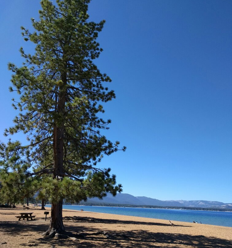 Shoreline of Tahoe景点图片