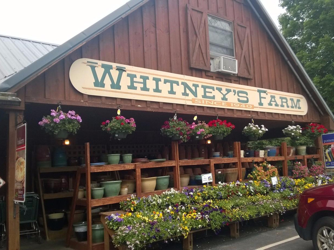 Whitney's Farm Market & Garden Center景点图片