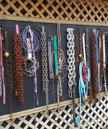 Villalobos Rescue Center景点门票图片