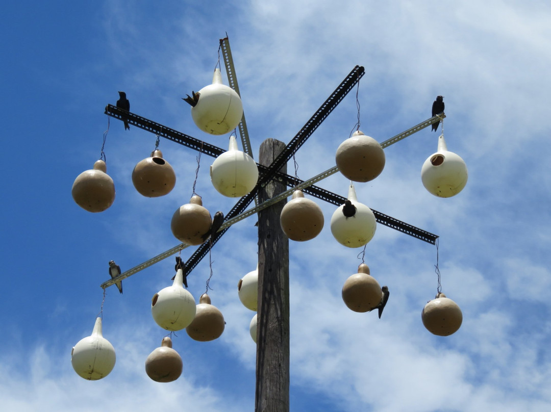 Brooklet旅游攻略图片