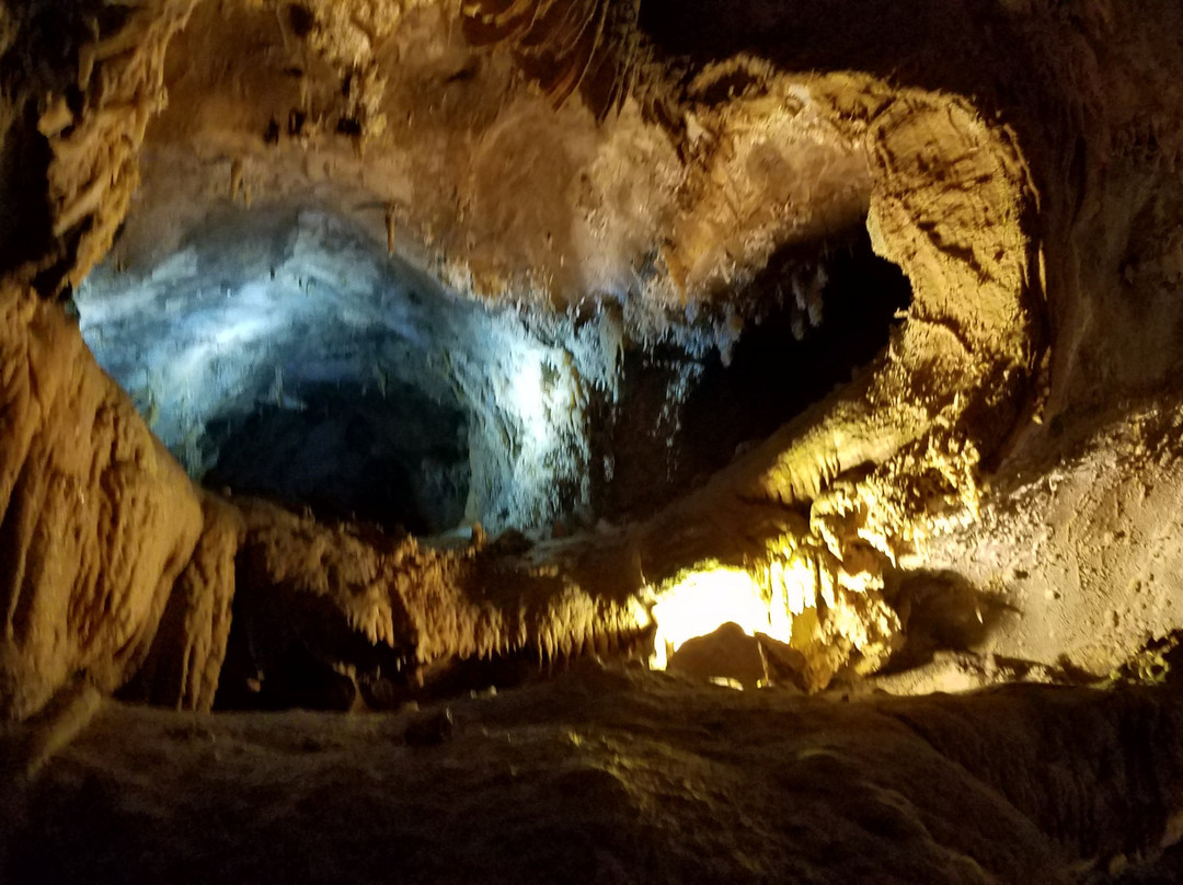 Lake Shasta Caverns景点图片