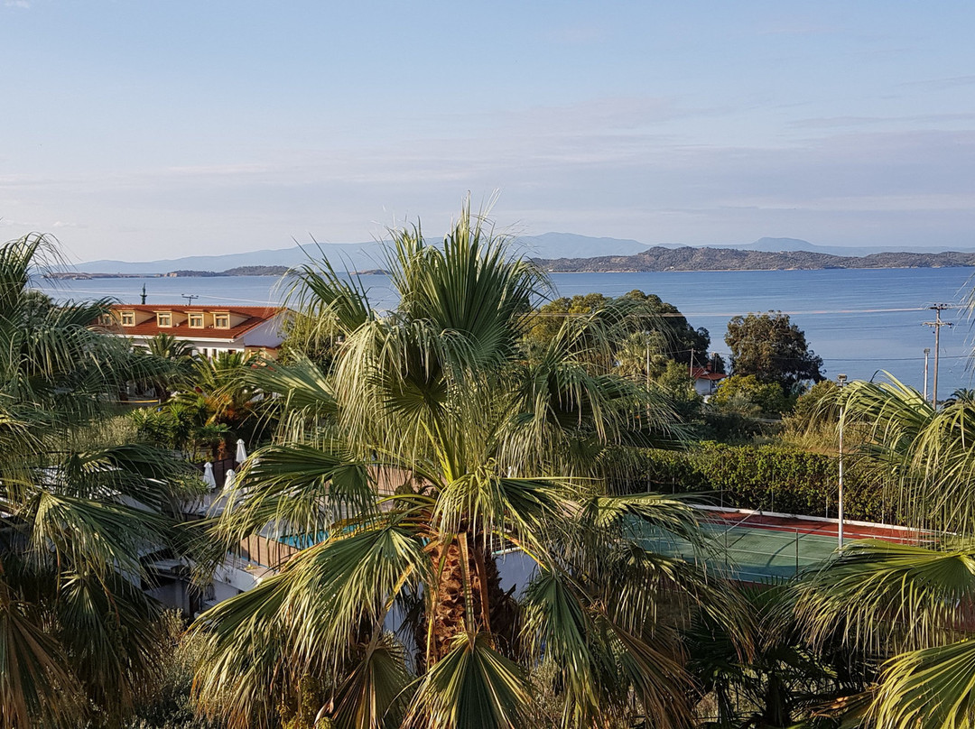 Aristoteles Holiday Resort & Spa主图