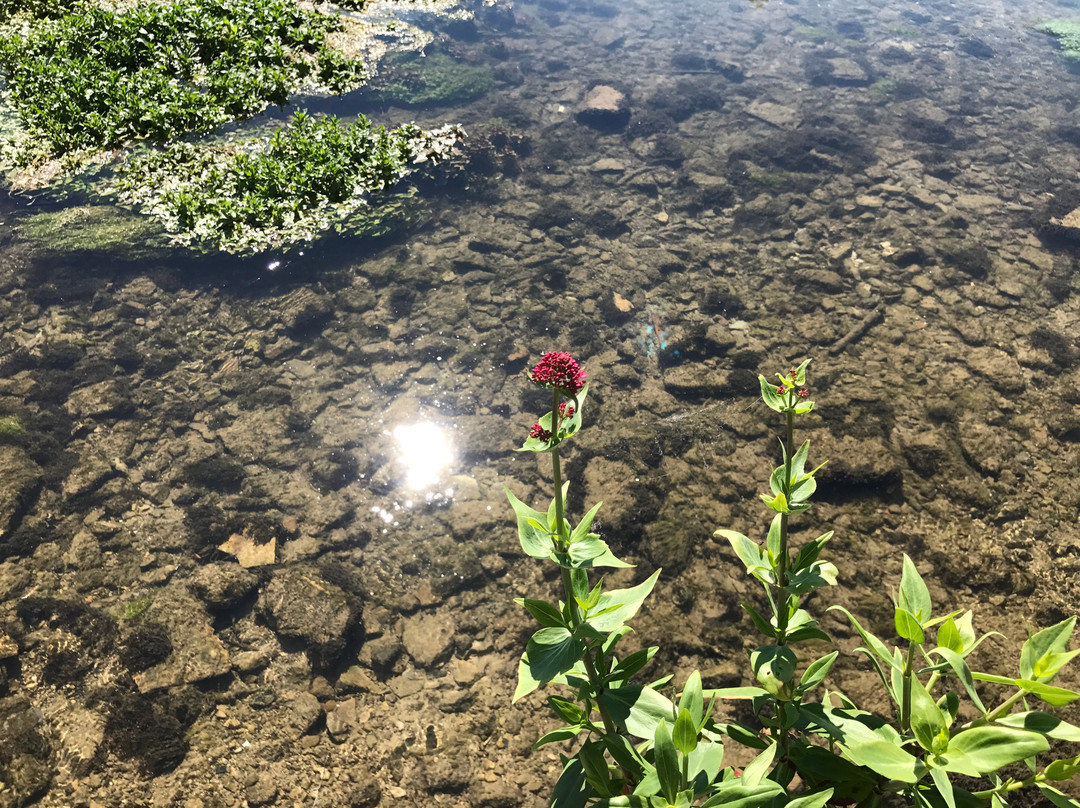 River Coln-拜伯里必去景点