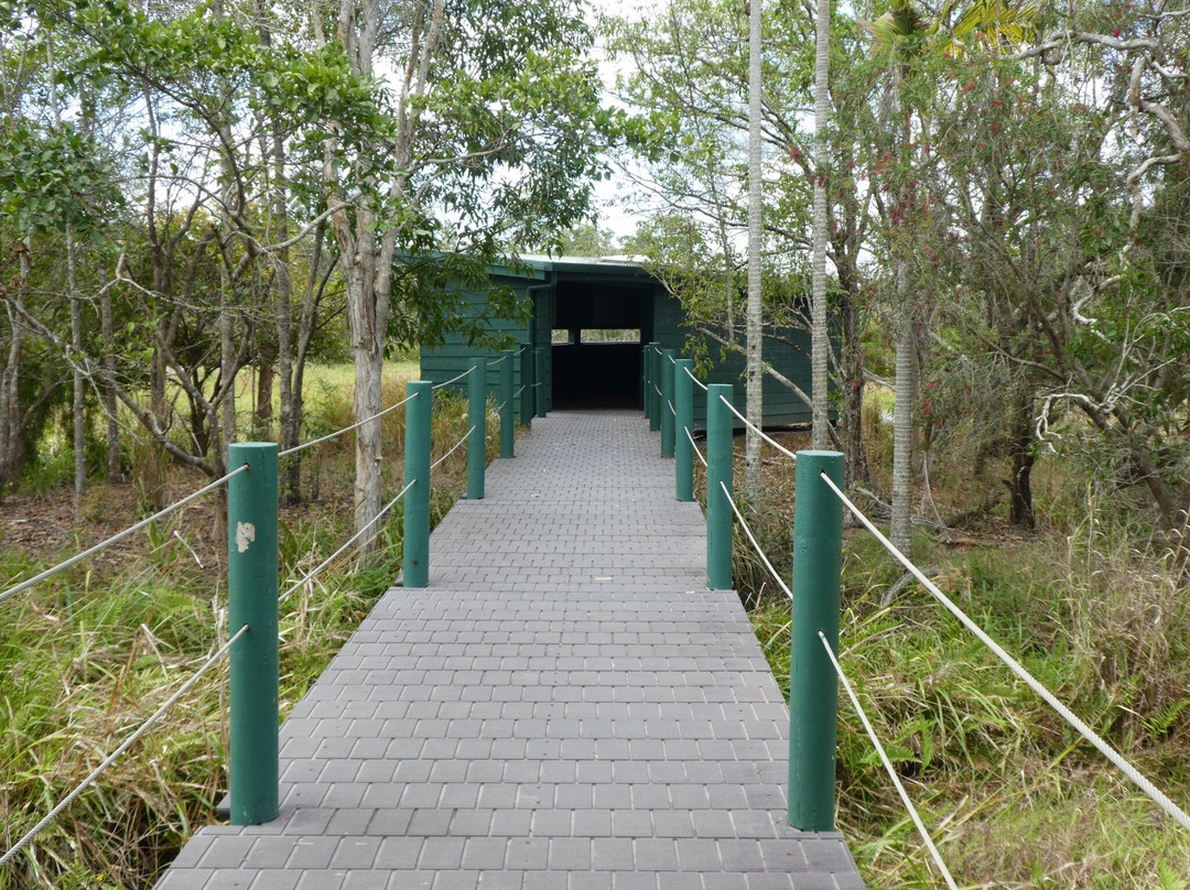 Abattoir Swamp Environmental Park-Julatten必去景点