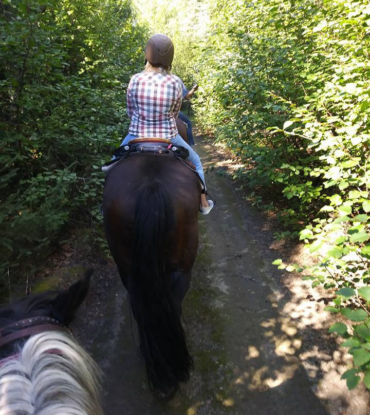 Alaska Backcountry Expeditions-费尔班克斯必去景点