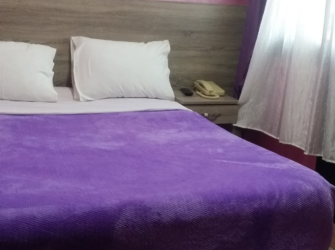 Hotel de Paris主图