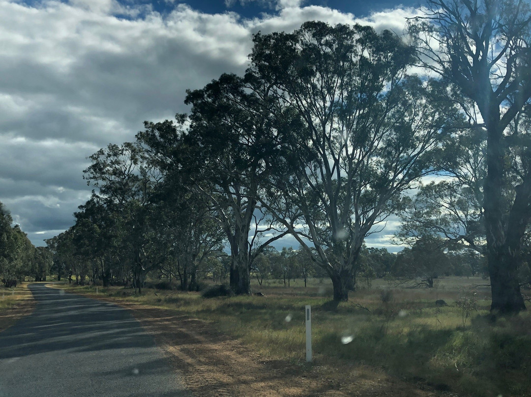 Lake Booroopki-Minimay必去景点