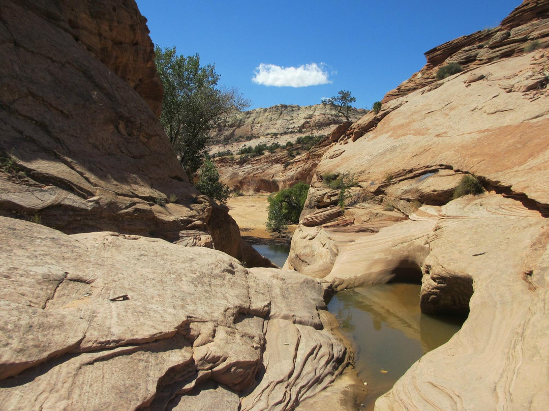 Hondoo Rivers and Trails-托里必去景点
