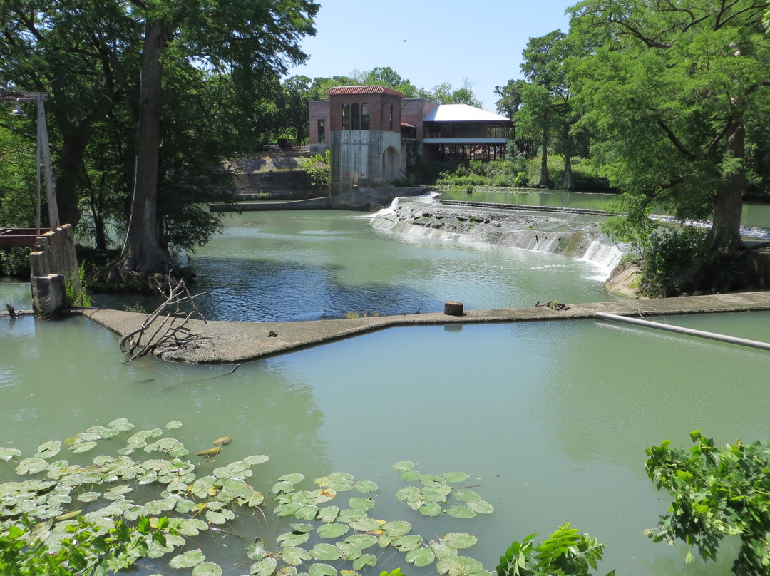 Max Starcke Park-塞金必去景点