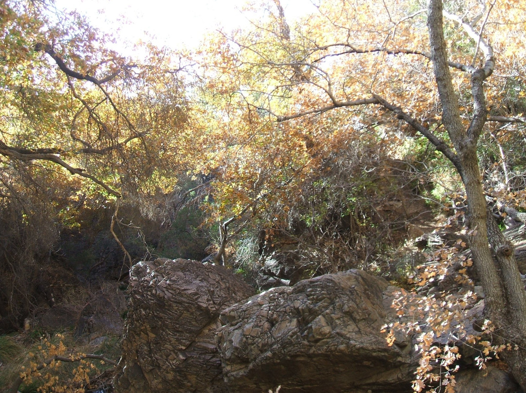 Cattail Falls Trail景点图片