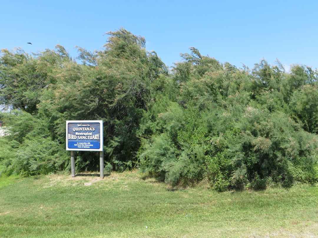 Surfside Beach旅游景点-Quintana Neotropical Bird Sanctuary