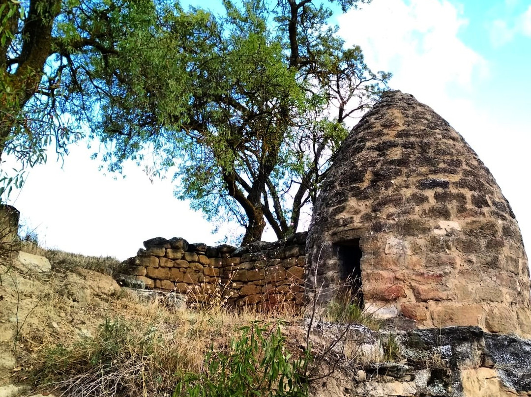 Bodega CM de Matarromera景点图片